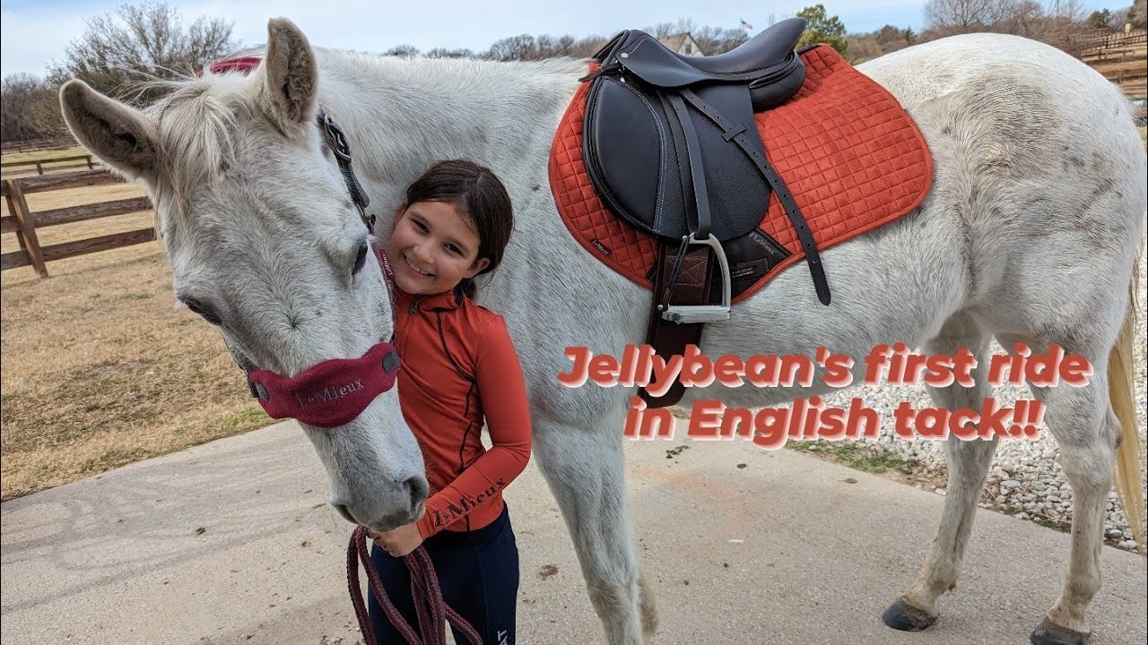 Riding Jellybean in English tack for the first time ever!