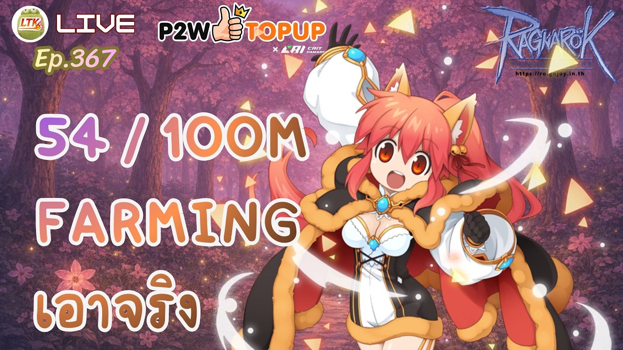 LIVE 🔴 54M / 100M วันนี้เอาจริง | Ragnarok Online Gravity
