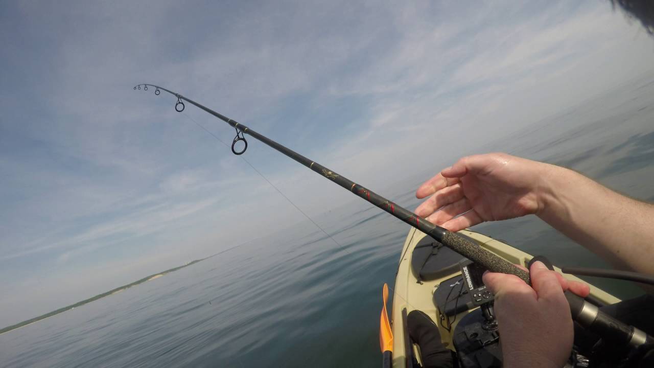 Kayak Fluke