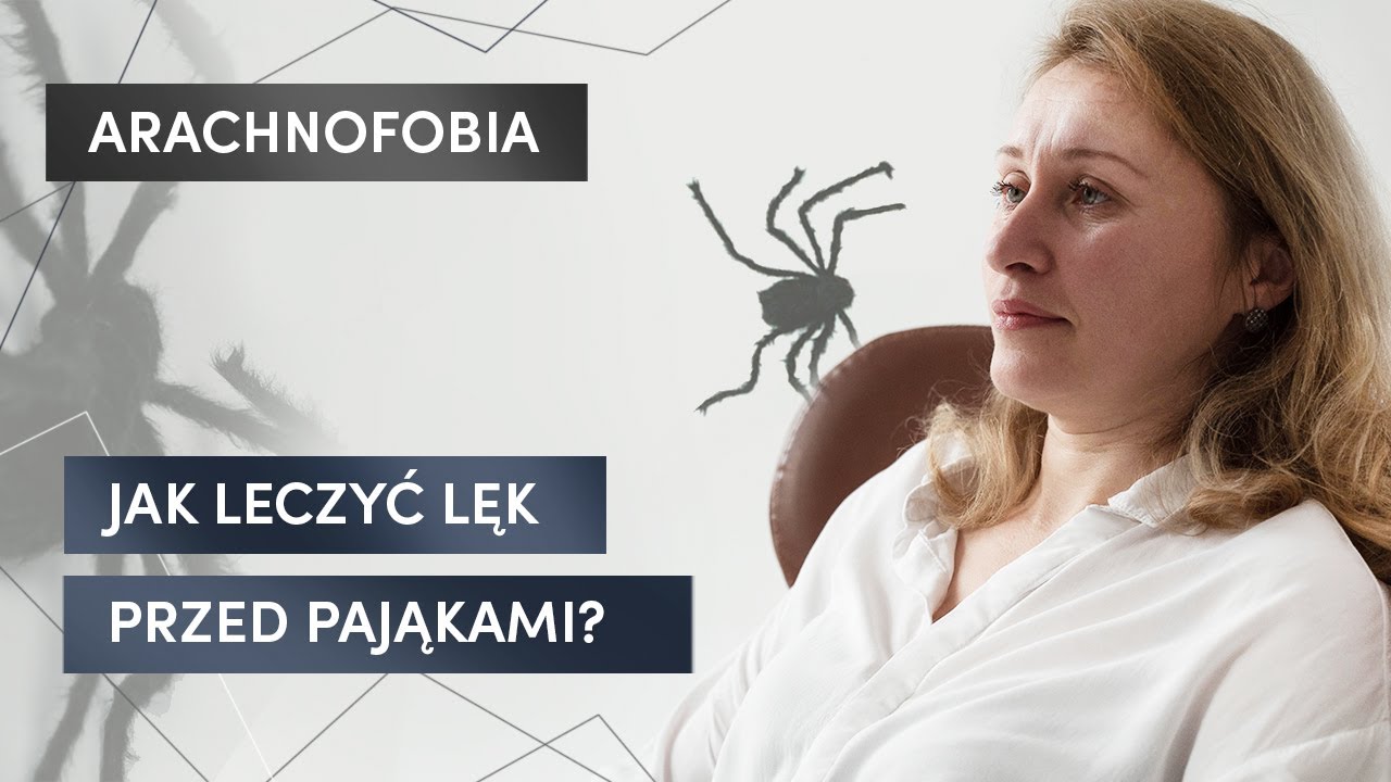 Arachnofobia. Jak pokonać lęk przed pająkami?