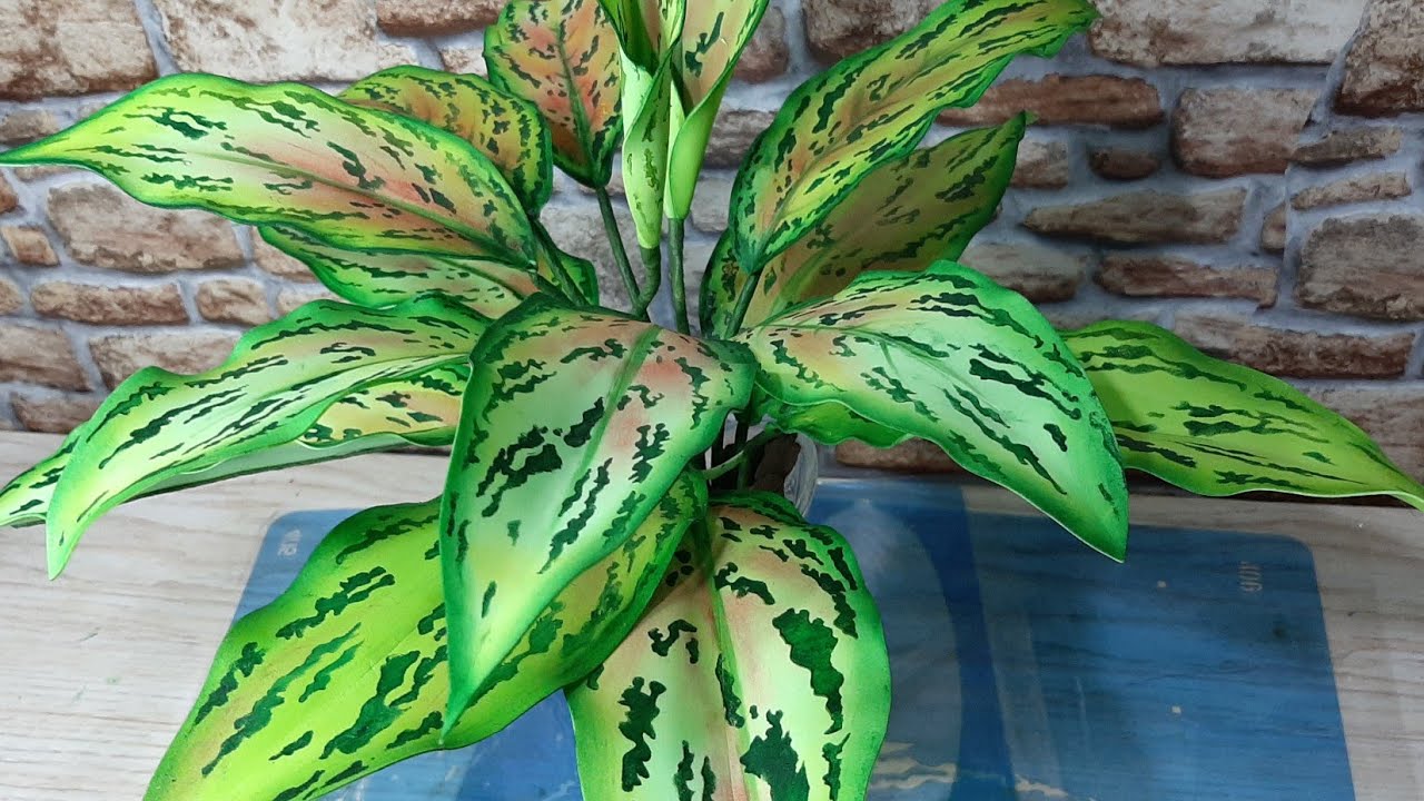 Tutorial Uma bela planta chamada aglaonema  ...passo a passo  em e v a..