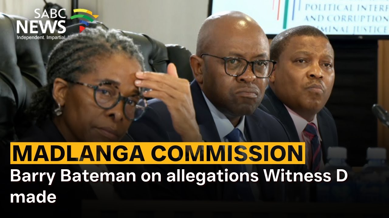 Madlanga Commission | Barry Bateman on allegations Witness D made