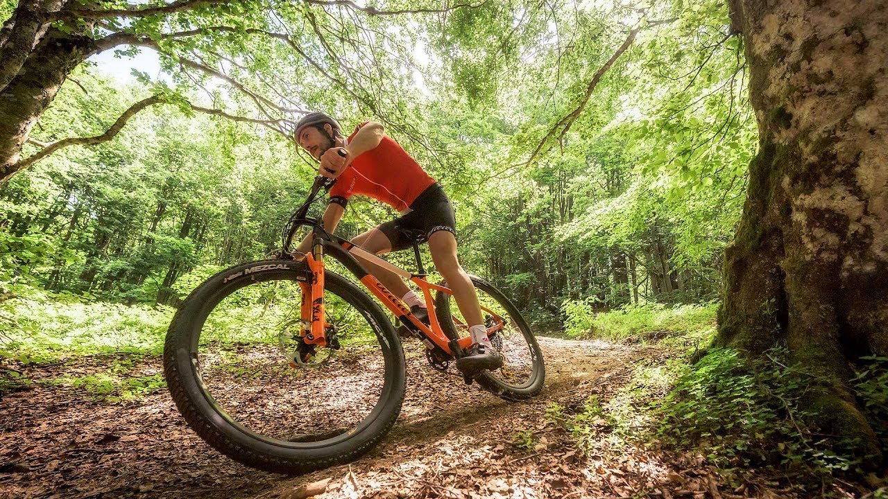 Wilier Triestina 110X | pronta a (quasi) tutto