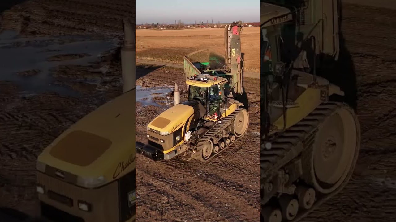 Sugar beet harvest with insane sunset 😍🔥