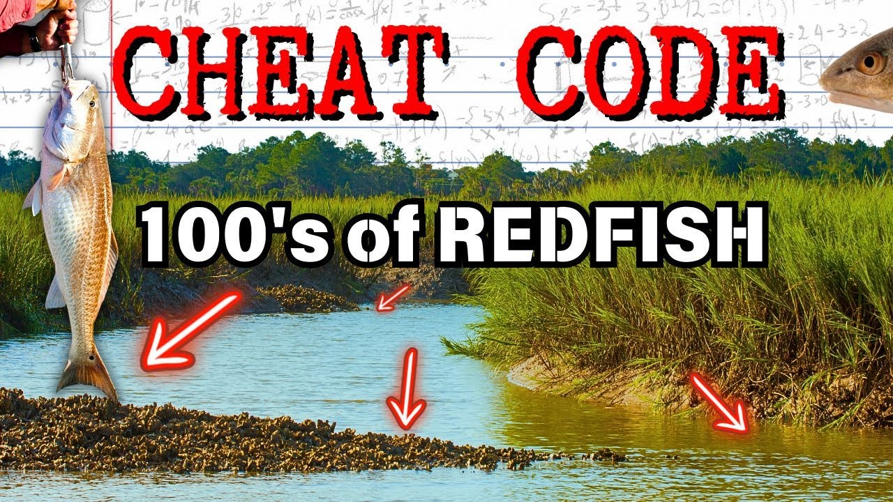 Cheat Code for Catching Georgia REDFISH...Use this technique to catch 100's