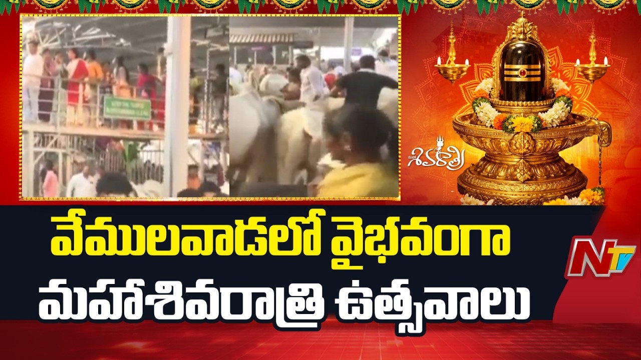 Vemulawada Temple Packed with Devotees | Maha Shivaratri 2026 | NTV Telugu