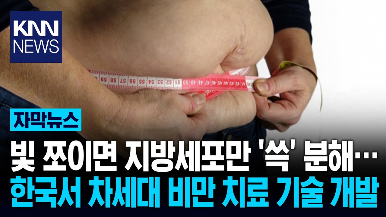 빛 비추면 지방만 '쏙' 분해 차세대 비만 치료 기술 등장 / KNN