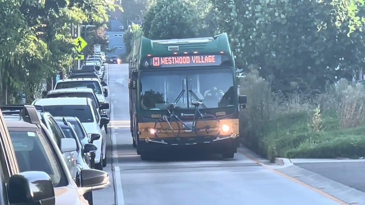 Metro 6045 Northbound + Metro 6920 comes to a stop and starts moving again