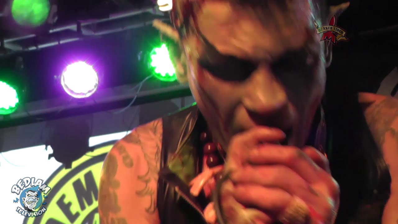 Demented Are Go - Welcome Back To Insanity Hall - Northampton 2014