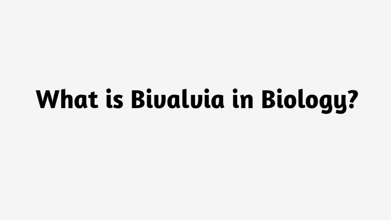 What is Bivalvia in Biology ?