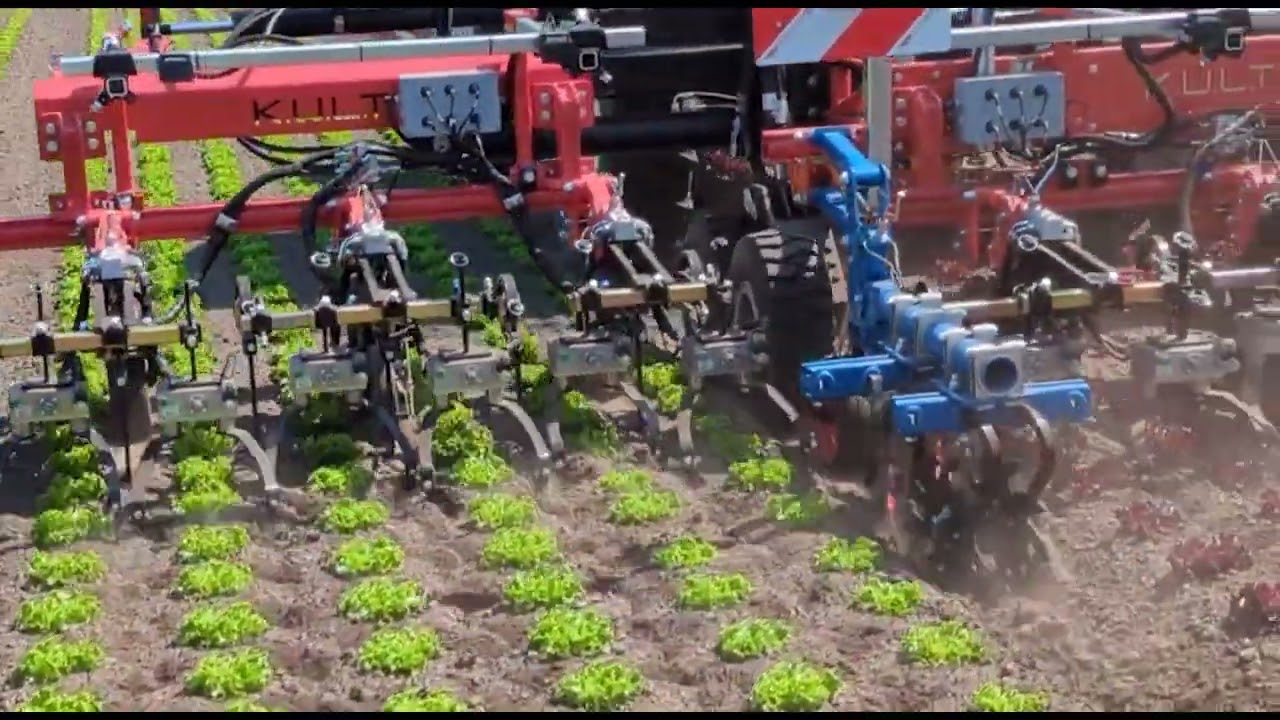 KULTiSelect Triple__K.U.L.T. Unkrautmanagement für Profis - K.U.L.T. professional weed control