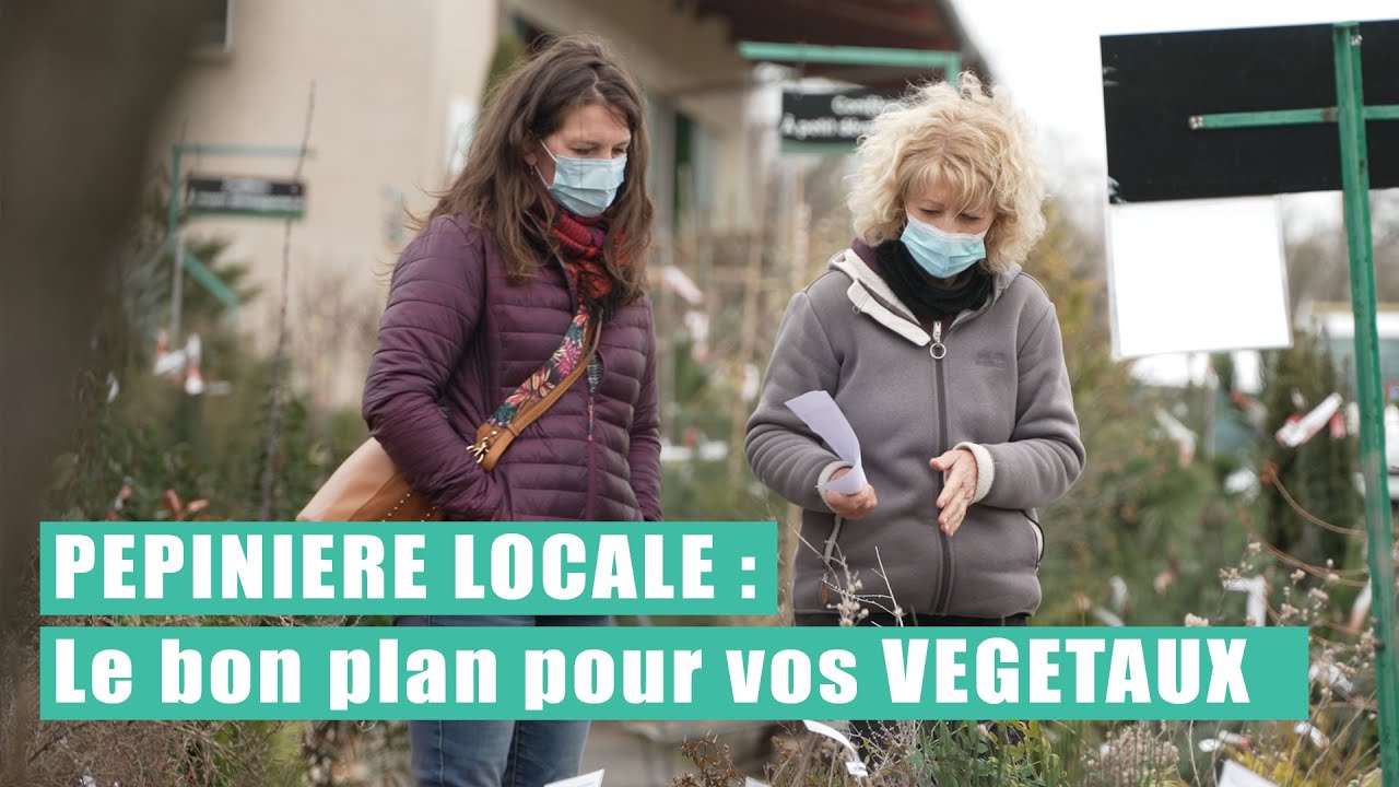 PEPINIERE LOCALE : Le bon plan pour vos végétaux ! Reportage - BichonTV