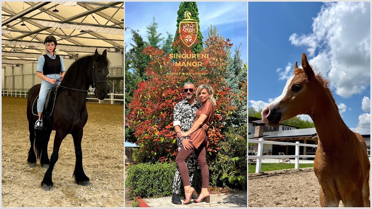 Aniversare cu surprize intr-un loc special @Singureni Manor, Equestrian Retreat
