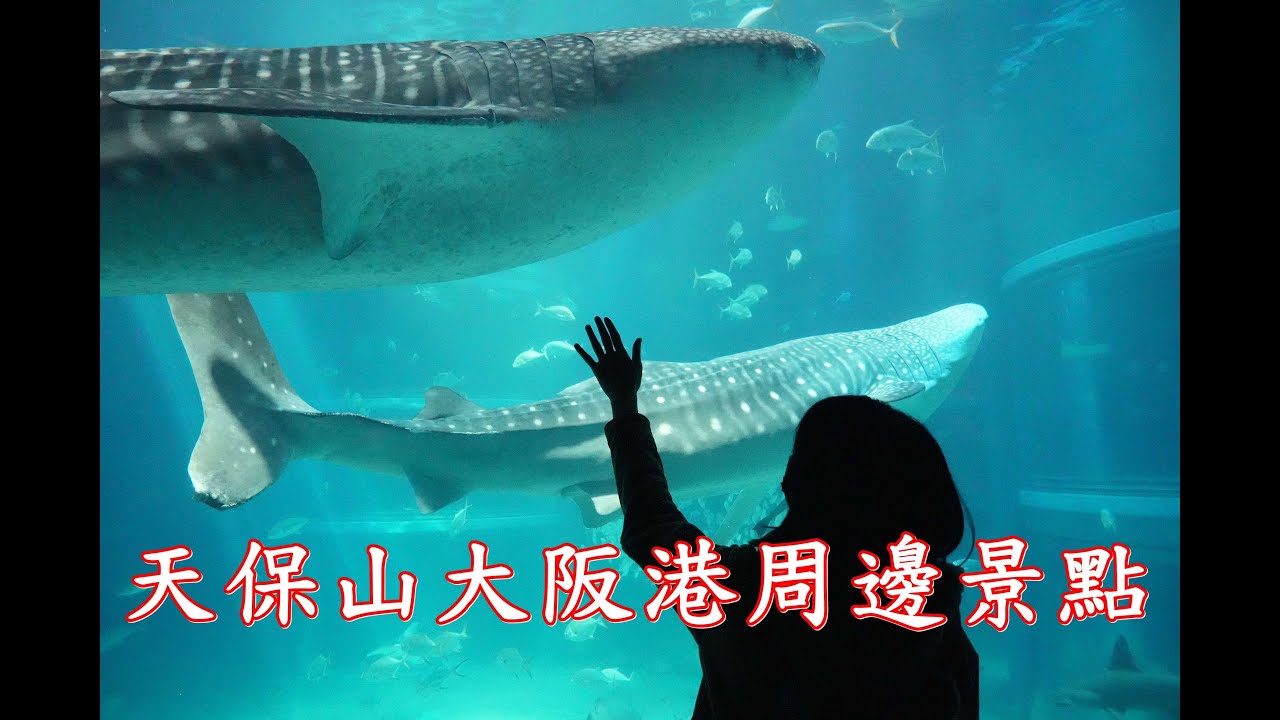 【2023日本自由行】京阪特輯 DAY 4~帶你玩天保山大阪港周邊景點/おおさか/Osaka/海天保山/大阪港/海遊館/聖瑪麗亞號/天保山摩天輪