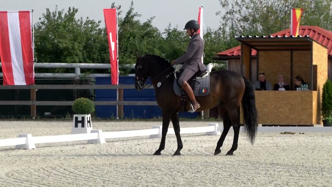 Dressage Test (2 nd part) – European Championship Working Equitation – Obořiště (CZE) 19. 9. 2024