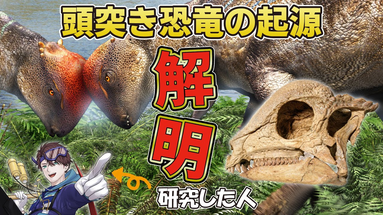新種パキケファロサウルス類「ザバケファレ・リンポチェ」命名！最古のドーム、胃石、進化の謎を専門家が徹底解説【古知累すすむ/恐竜研究者/男性Vtuber】