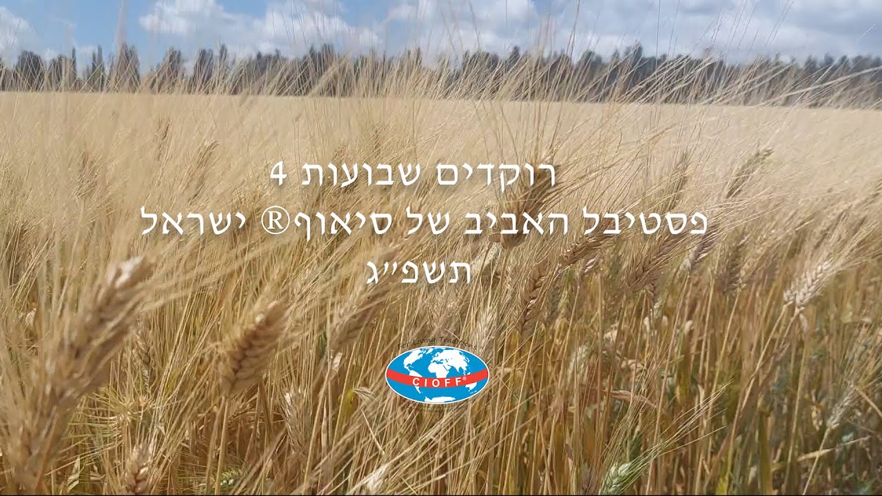 2023 Dancing Shavuot 4 רוקדים_שבועות#