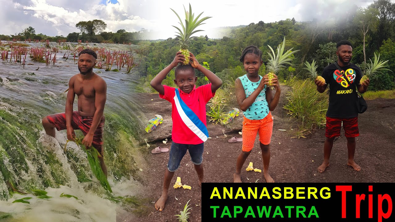 Trip to Ananasberg (pineapple mountain) and  Tapawata (Tapawatra)