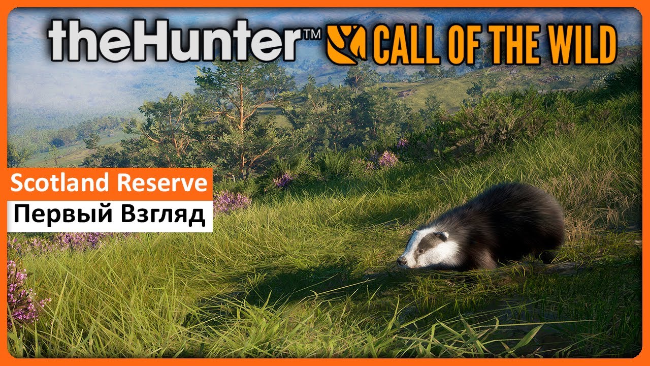 Новый заказник - Scotland Hunting Reserve - theHunter Call of the Wild