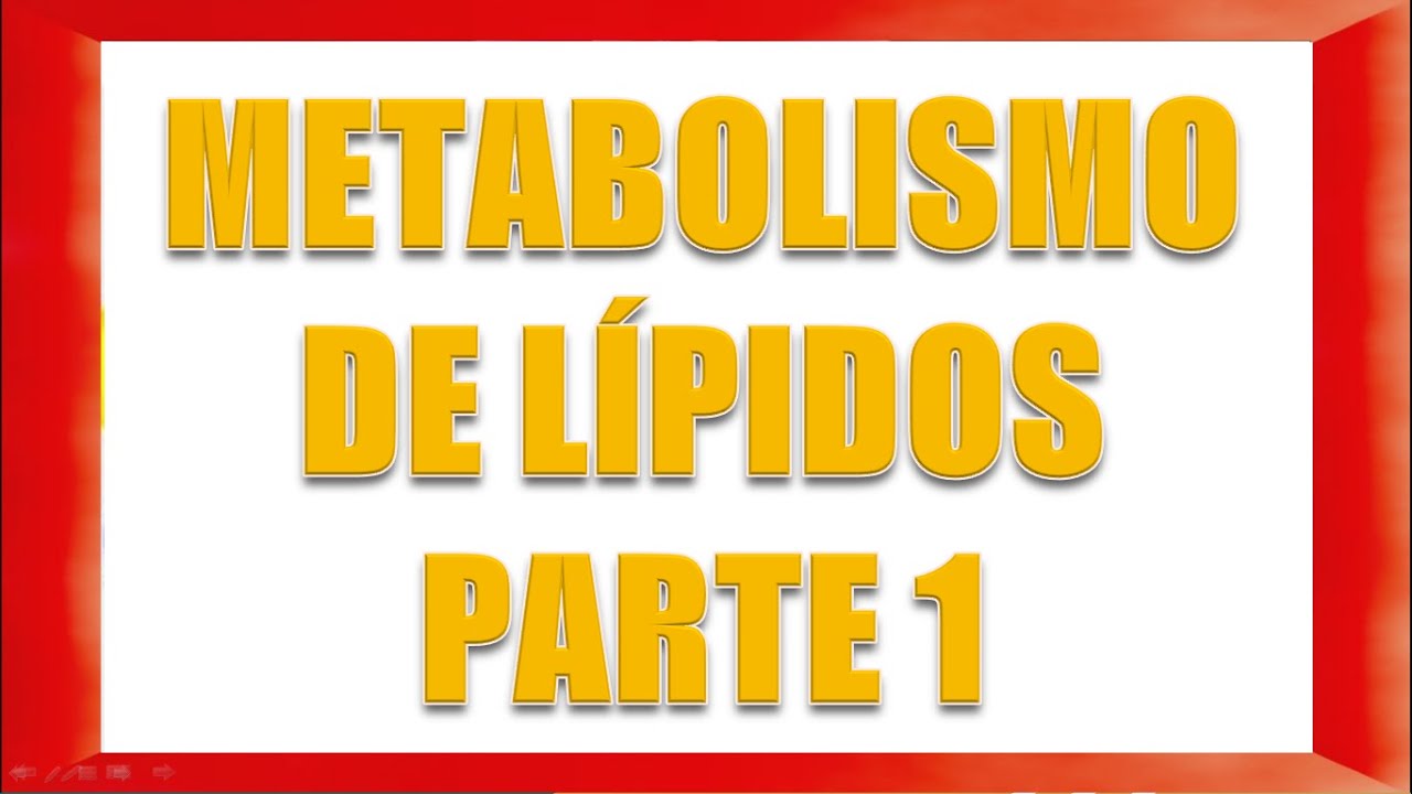 METABOLISMO DE LÍPIDOS PARTE 1