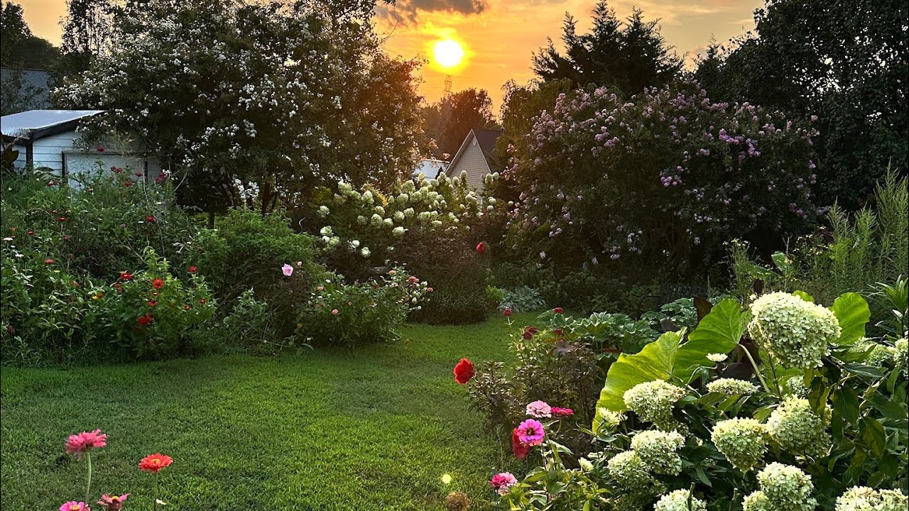 August Silent GARDEN TOUR 🤫 Plant Labels 🌱 Cottage Garden
