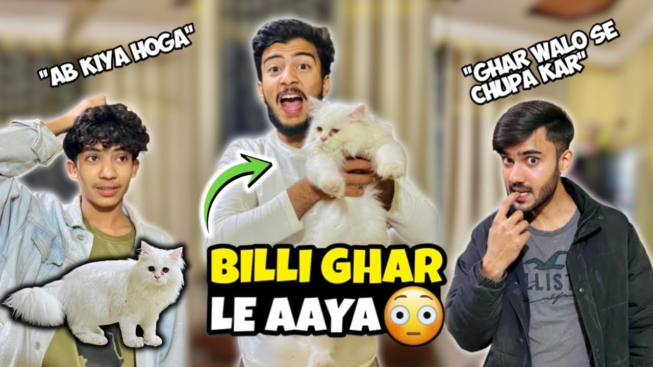 Ammi Ne Billi Dekh Li To? 😳 | Cat Ghar Le Aaye | Ab Kiya Hoga