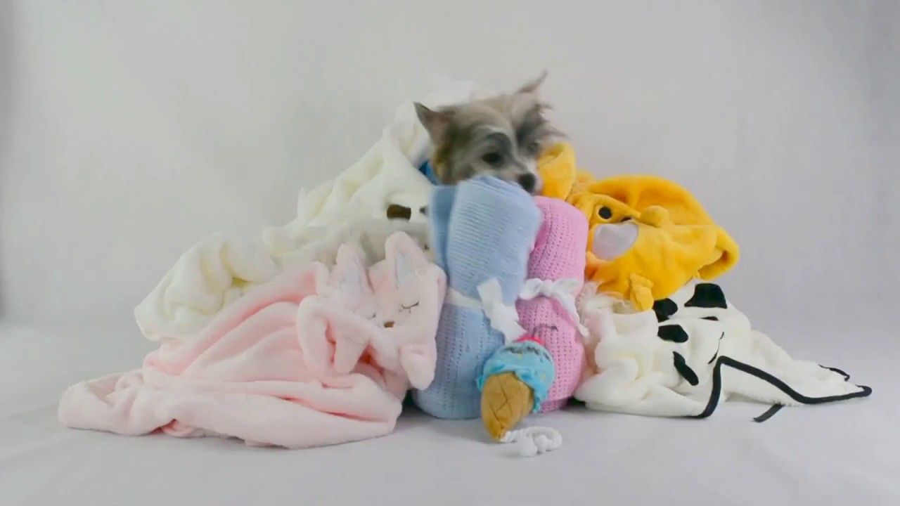 DogAndDiva dog apparel boutique delux puppy blankets doggy travel blanket