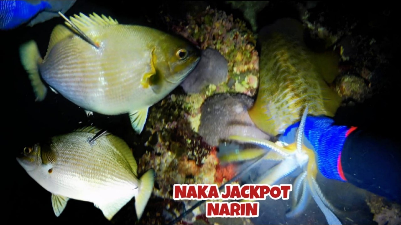 EP 486 NAKA JACKPOT NARIN  SALAMAT MAAGA ANG SAMPA NG ISDA NGAYON TAON