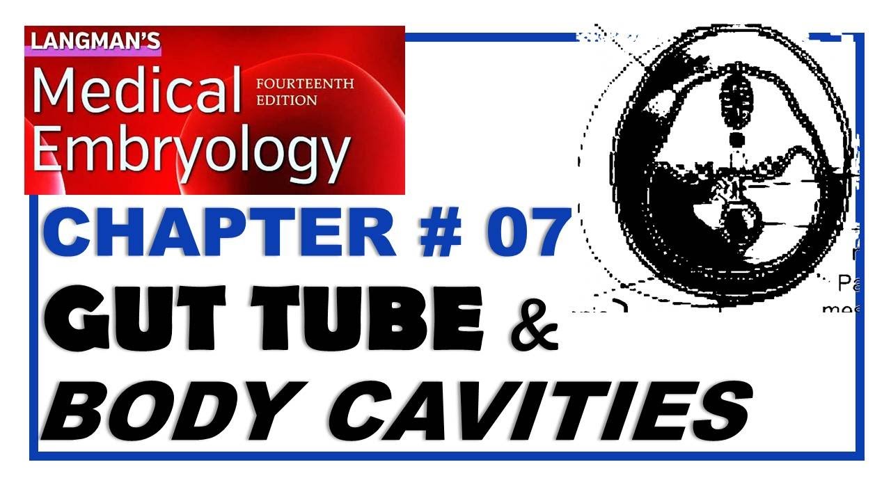 Langman Chapter#07 | Gut Tube & Body Cavities | Embryology | Dr Asif Lectures