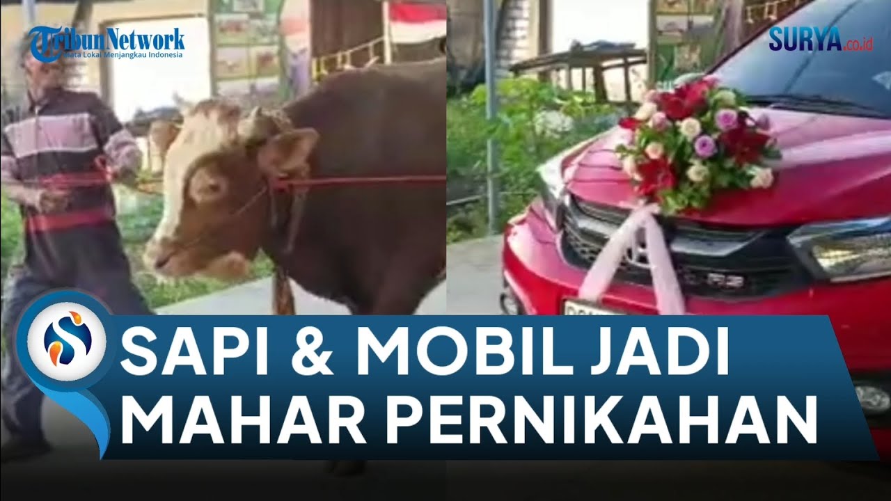 VIRAL Seserahan Pengantin di Tuban Bak Sultan, Sapi hingga Mobil Jadi Mahar