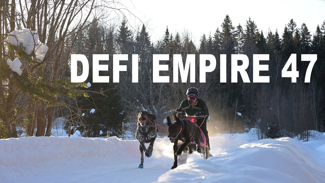 Race video - Defi Empire 47 2026 - 2-dog Sled