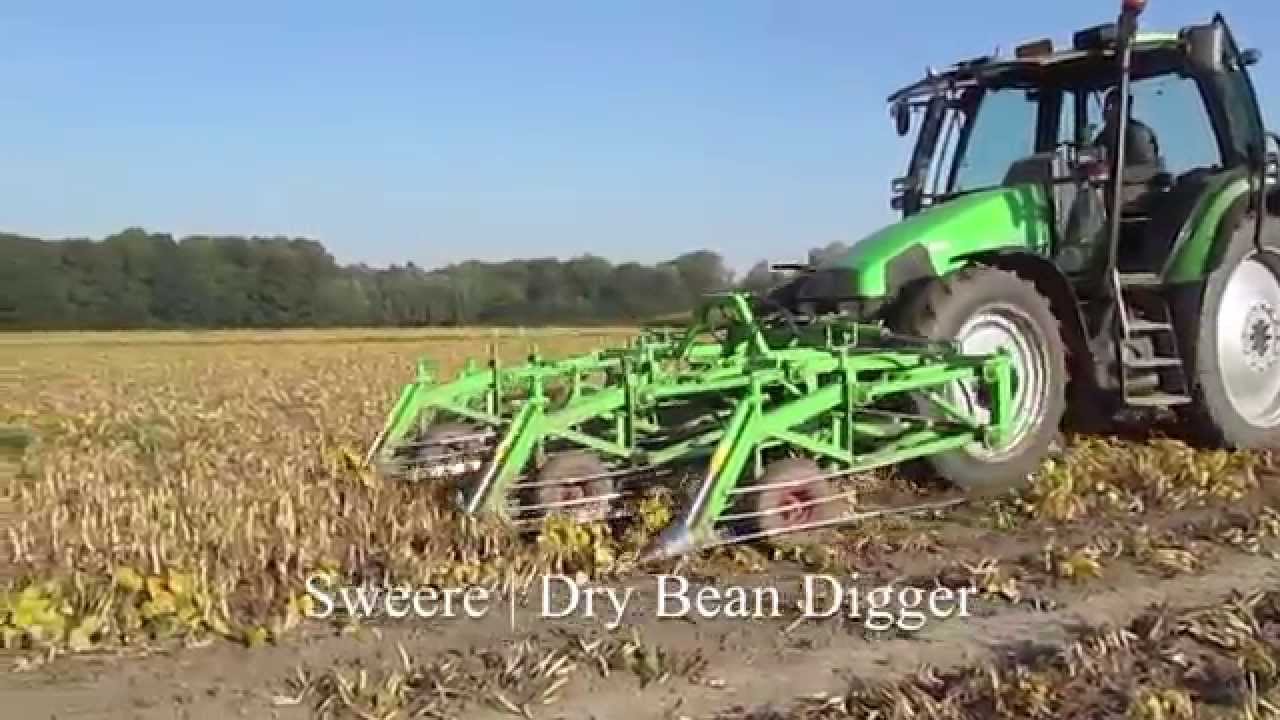 Dry bean digging - digger / cutter | Sweere