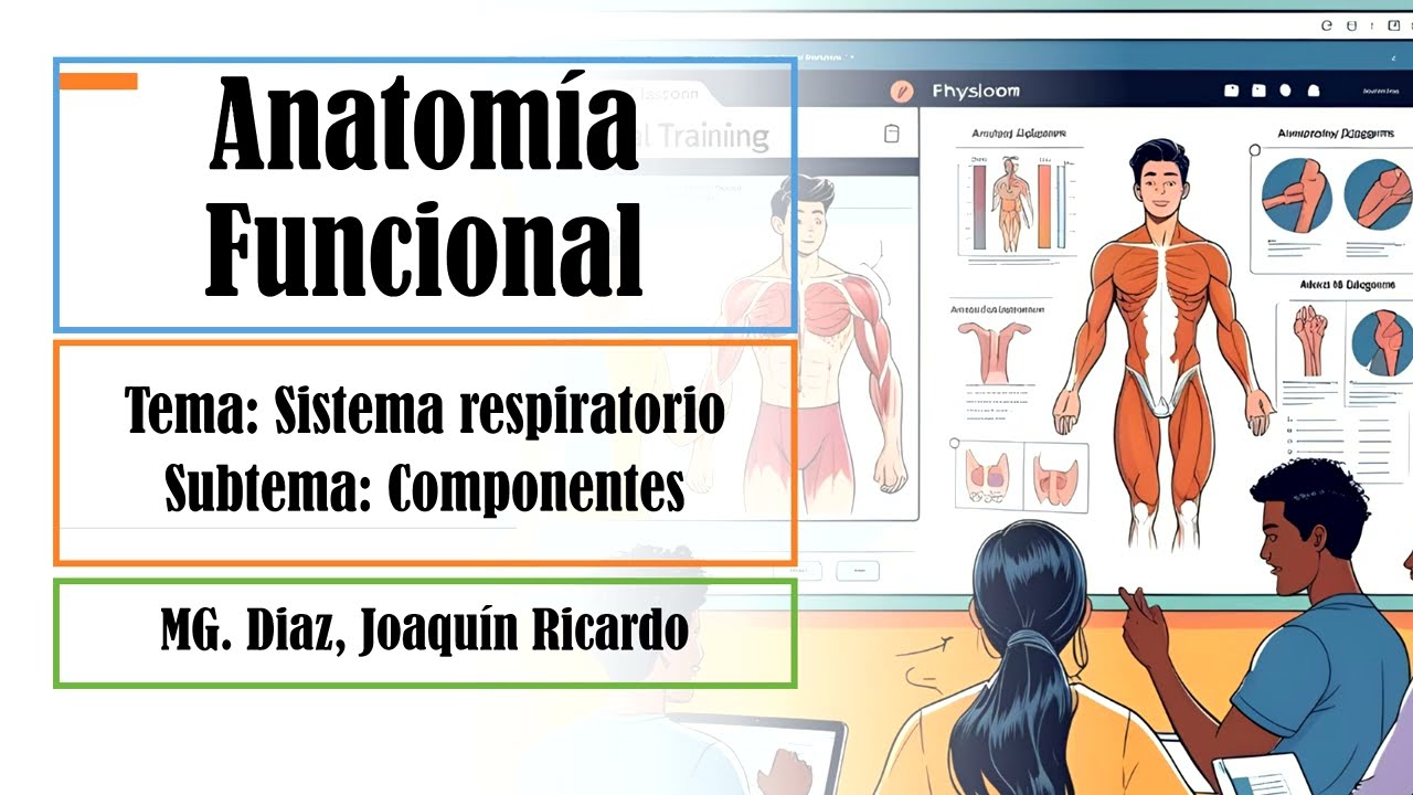 🎥 Sistema Respiratorio – 2 – Componentes