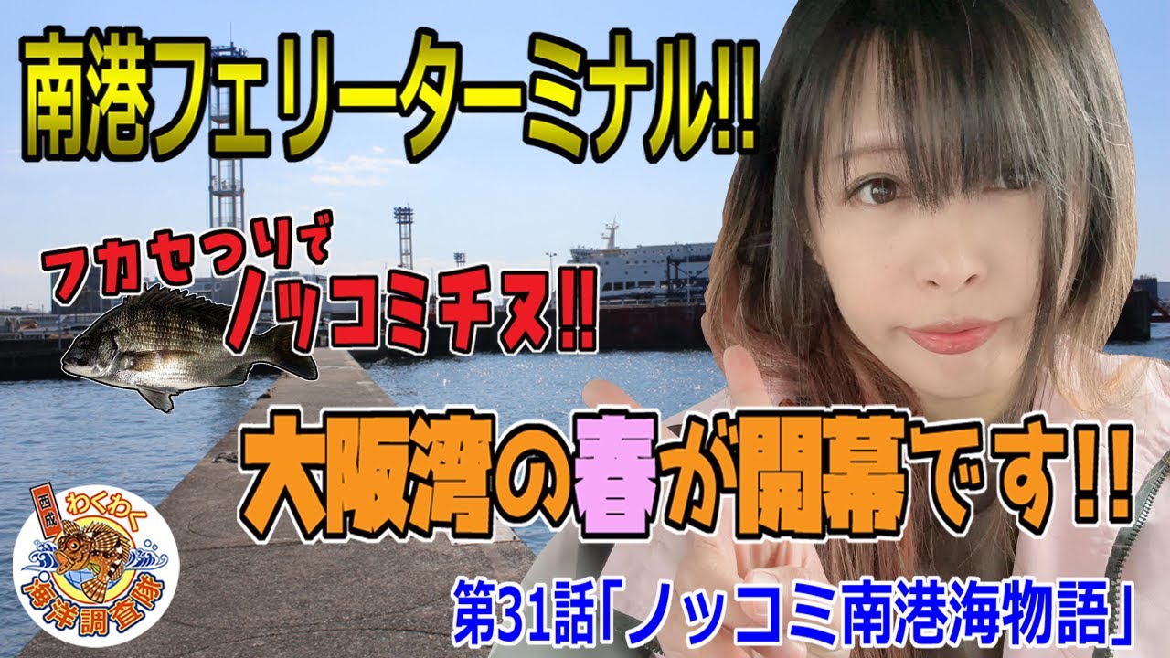 【南港フェリーターミナル】大阪湾に春が来た!!ノッコミチヌを釣りまくれ!!第31話「ノッコミ南港海物語」