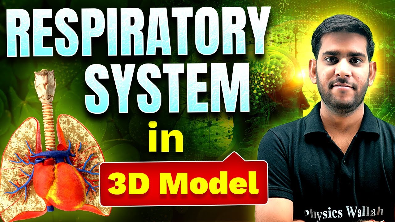 Anatomy of Respiratory System in 3D | AIIMS NORCET 6