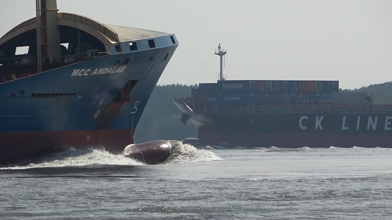 How Container Ships Navigate Narrow Channels | 4K Shipspotting