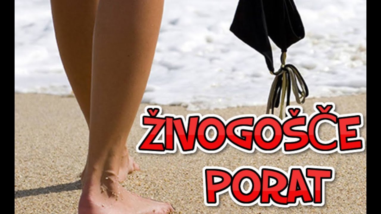 Walk Živogošće Porat Croatia