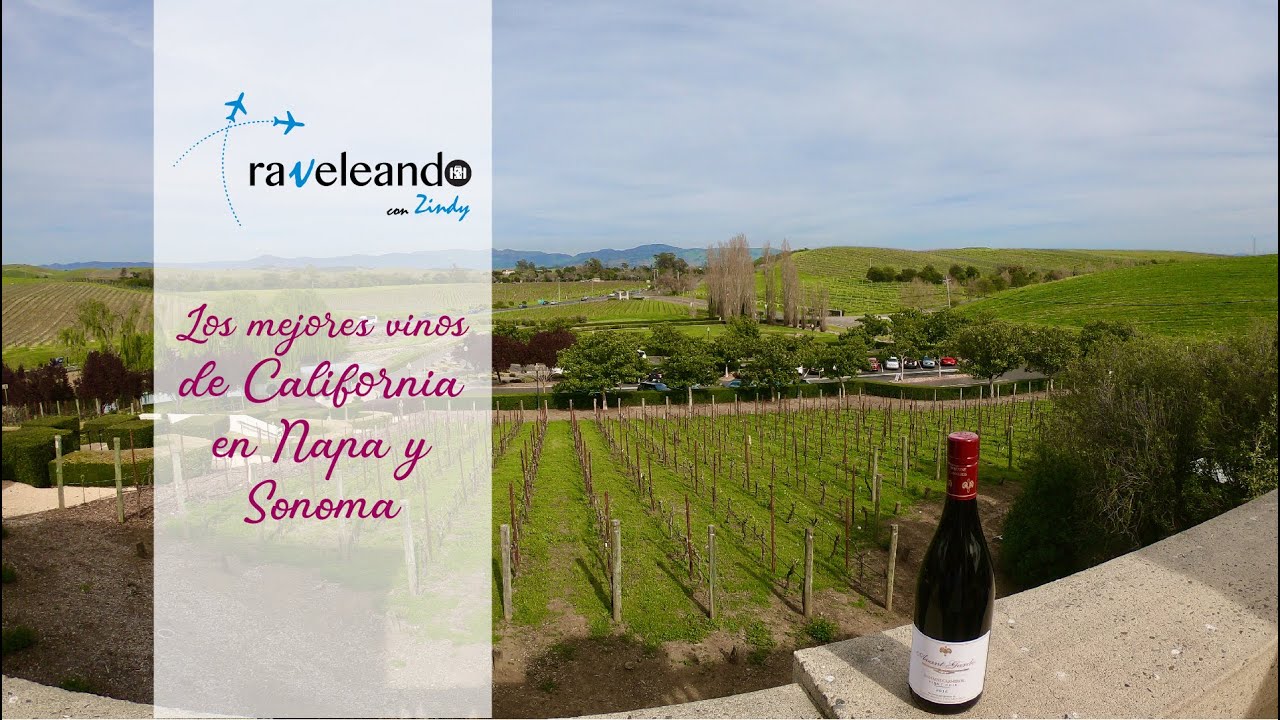Los mejores vinos 🍷 de California en Napa 🍇 y Sonoma