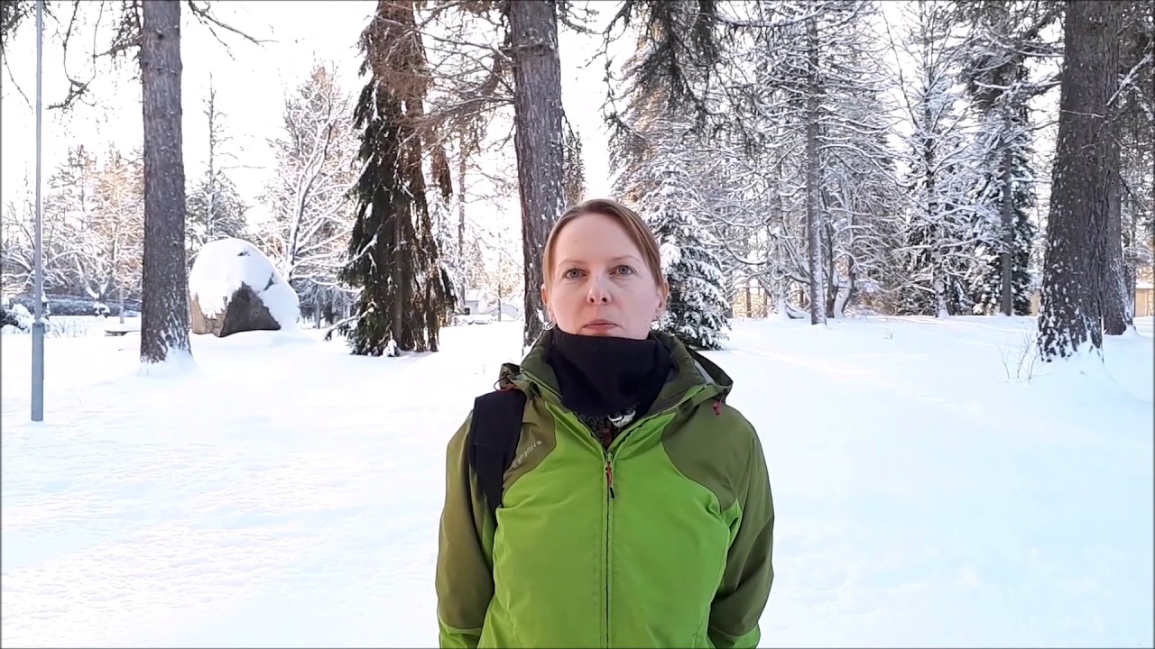 Haastattelussa metsätalousinsinööri 1