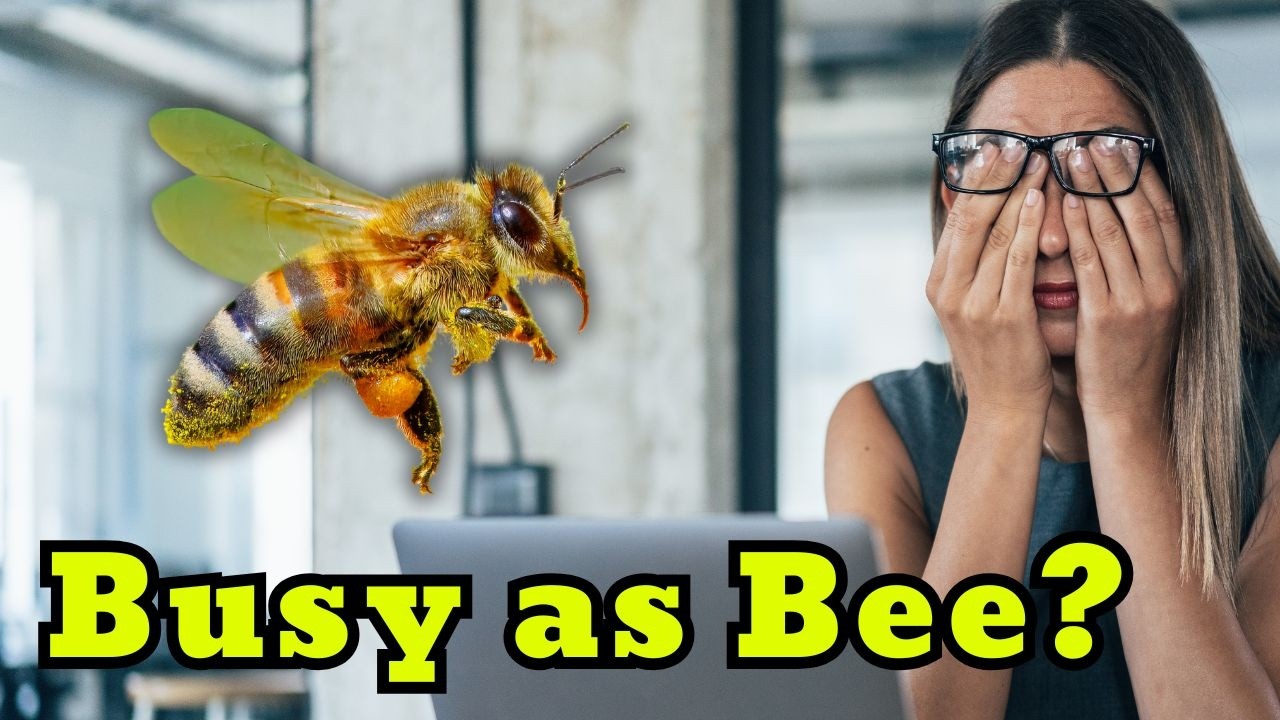 Why Do We Say “Busy as a Bee”?