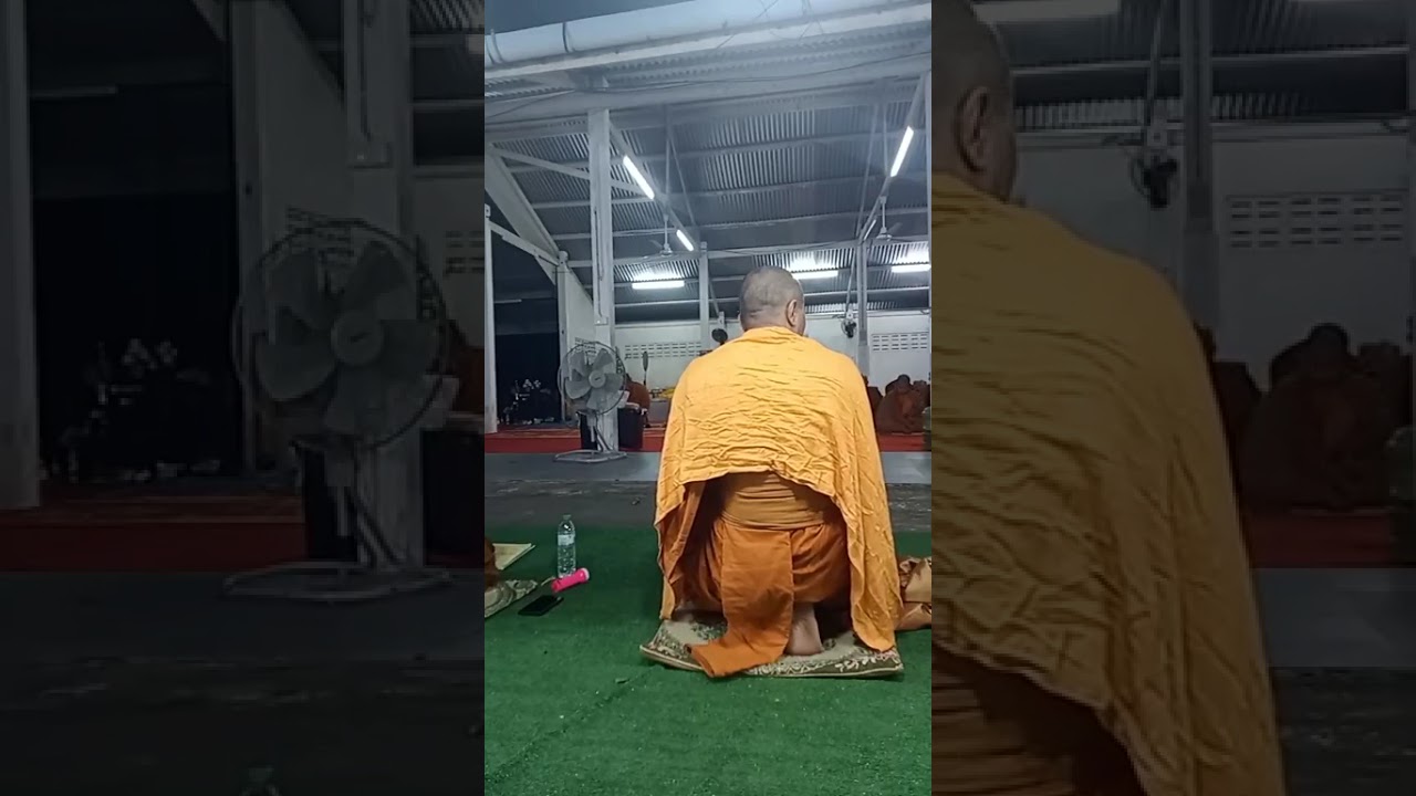 คณะสงฆ์และอุบาสก อุบาสิกา ร่วมปฎิบัติธรรมกรรมฐาน ที่วัดป่าโนนยาง ต.โนนยาง อ.หนองสูง จ.มุกดาหาร 7กพ69