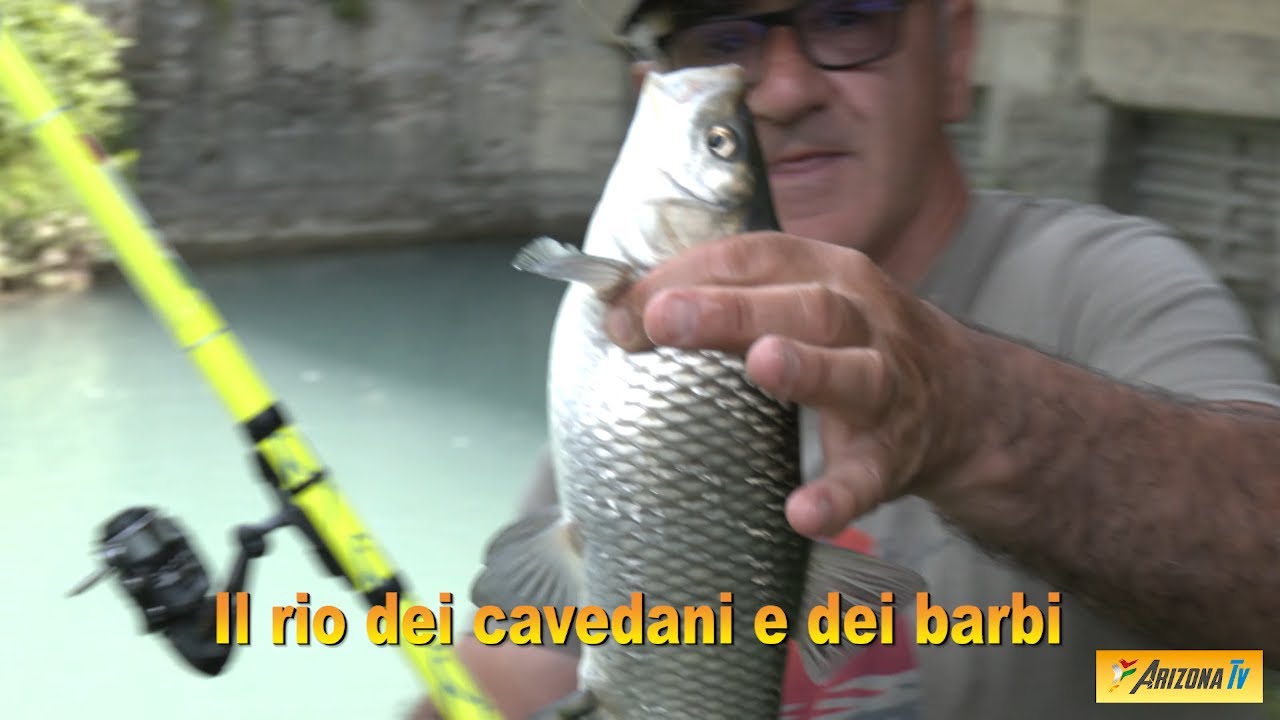 MONDO PESCA - IL RIO DEI CAVEDANI E DEI BARBI CA' BUSCHI RIO COMUNE - FIUME TREBBIA -PIACENZA method