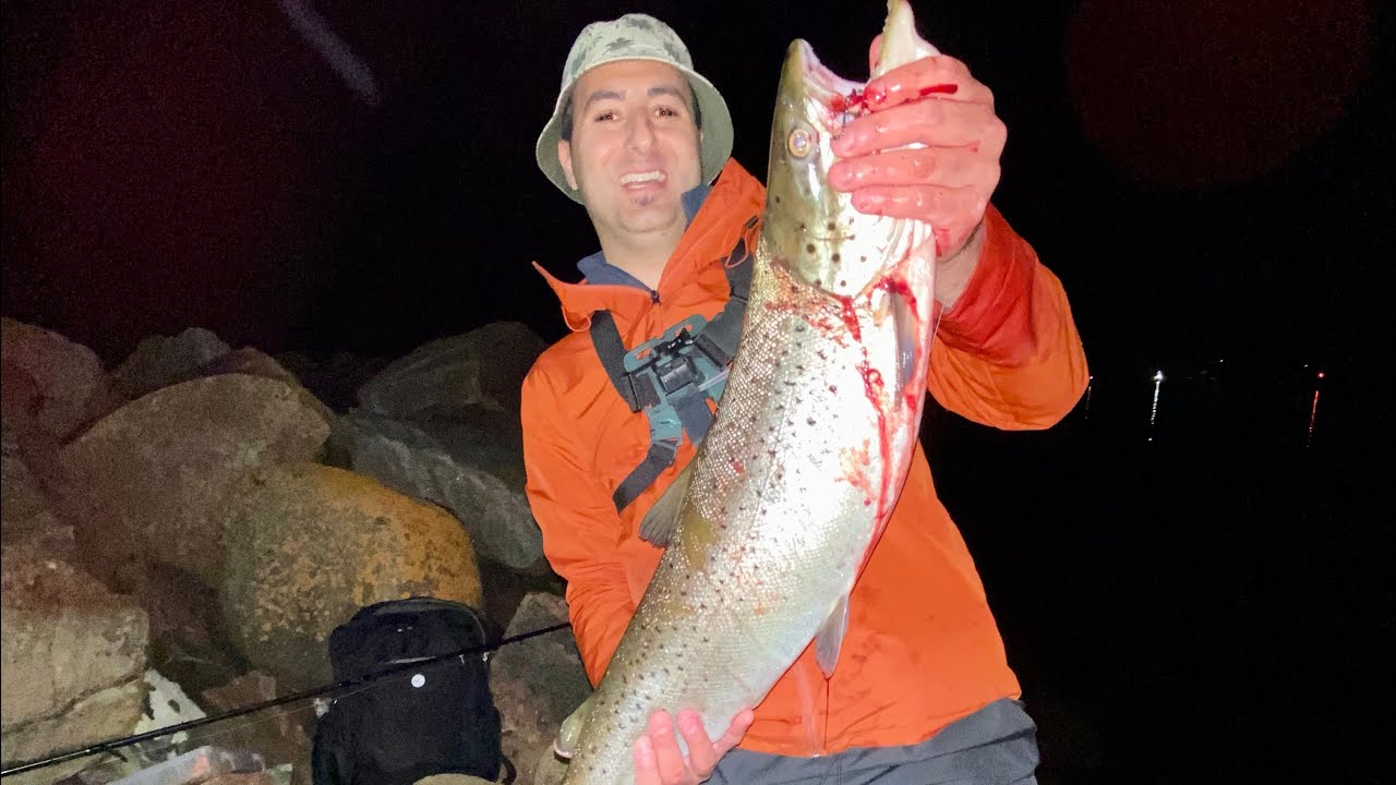 Caught Monster Sea Trout - UNREAL FIGHT - Catch Clean Cook