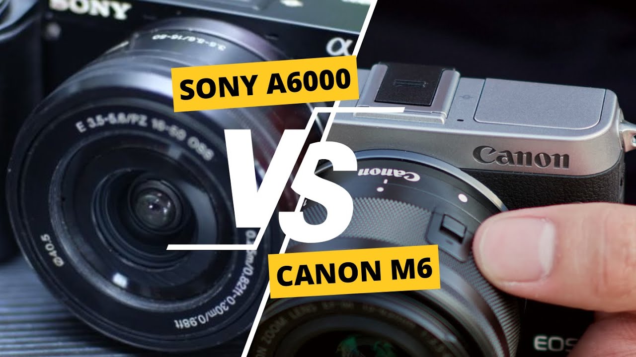 Kamera Mirrorless Terbaik Sony A6000 atau Canon M6
