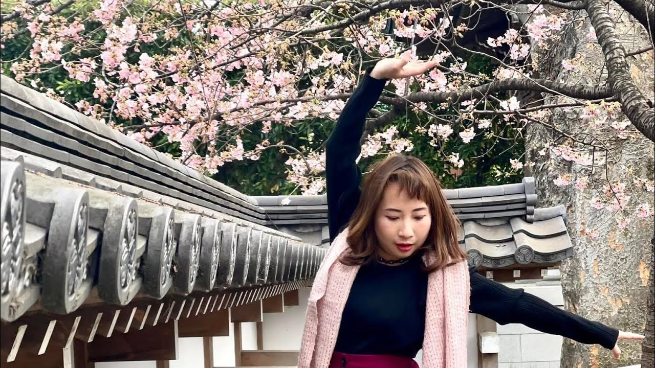 AT with plum& Kawazu cherry blossom 2023お寺での梅と河津桜⛩️🌸🦜♪