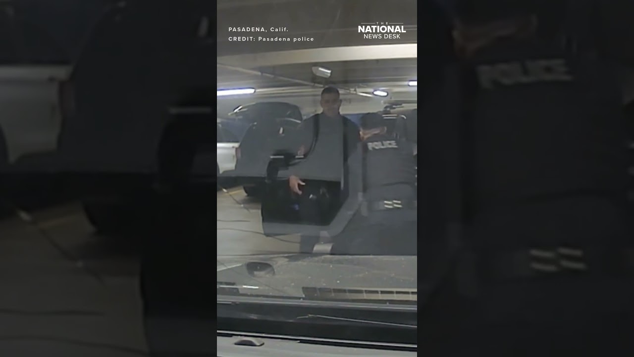 Officer accidentally shoots fellow cop