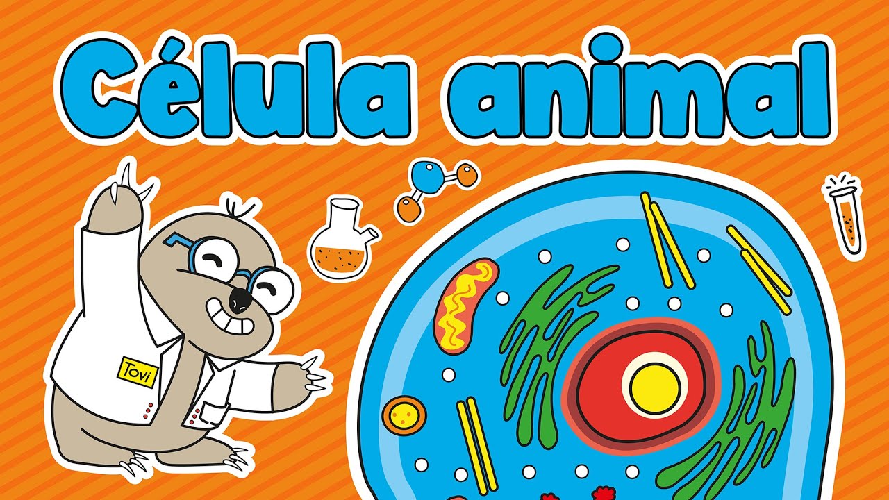 La célula animal | Partes de la célula animal