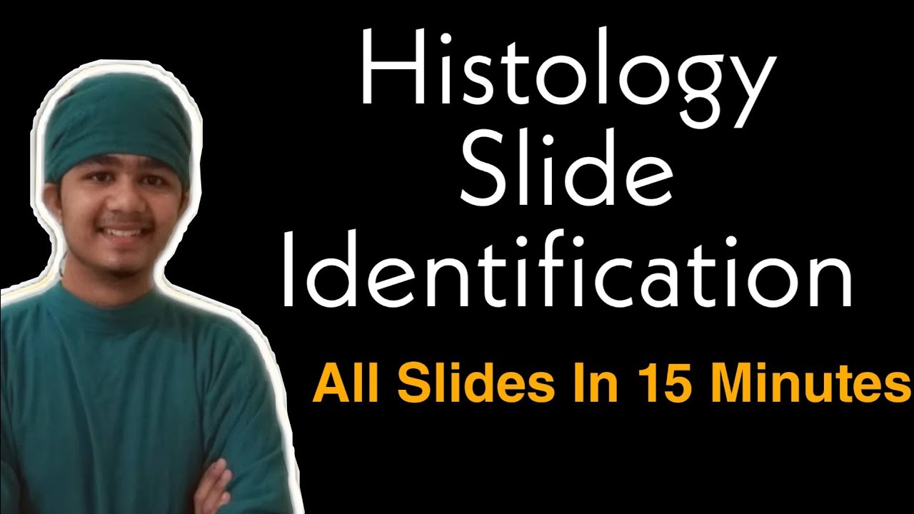 Histology Slide Identification Tricks | All Histology Slides In 15 Minutes | Easy Histology| Viva