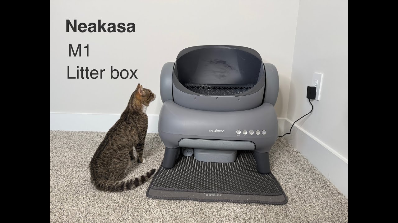 Neakasa M1 self-cleaning litter box