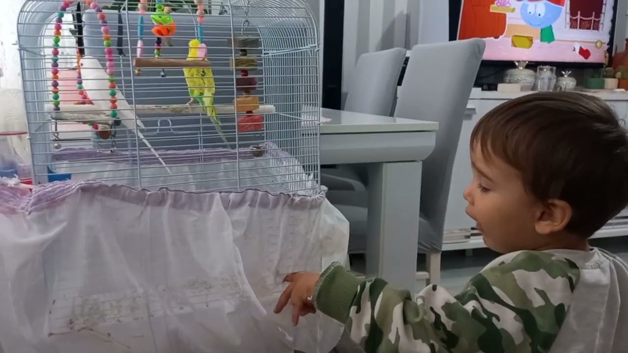Merhaba kuşlar 🤗